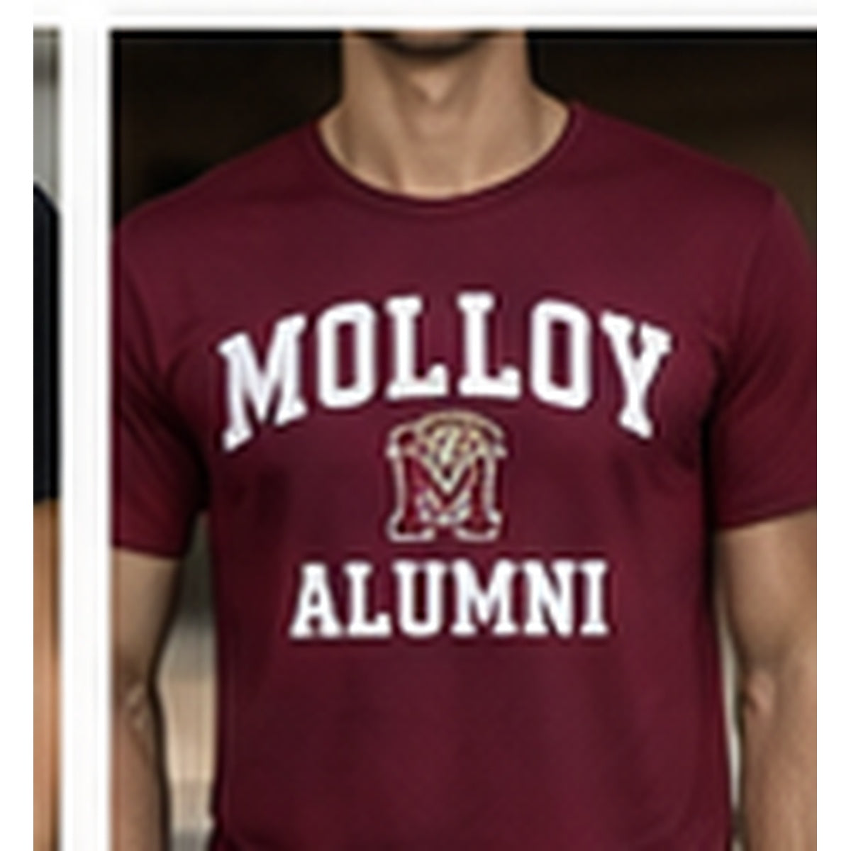 Molloy Lions alumni spirit tee thumbnail