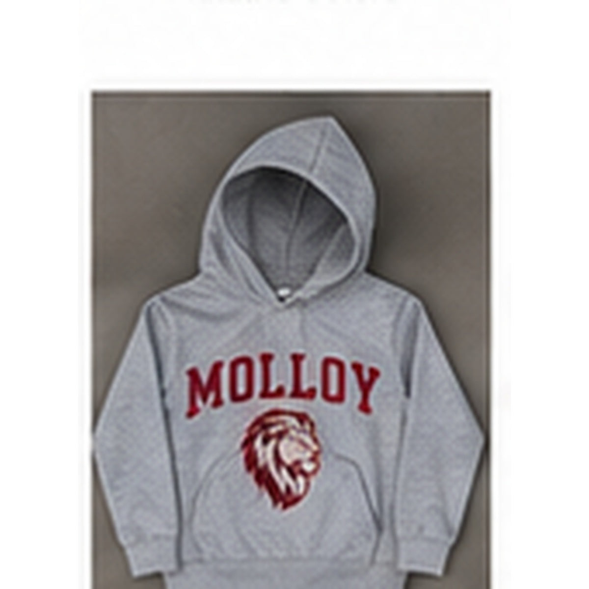 Molloy Lions youth pullover hoodie thumbnail