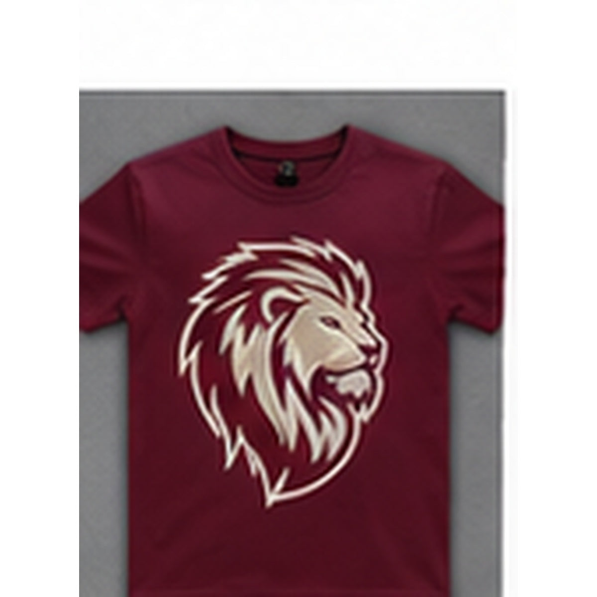 Molloy Lions youth spirit tee thumbnail