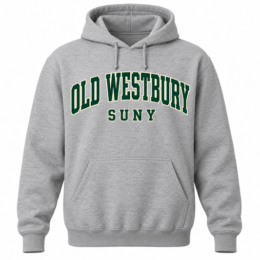 SUNY Old Westbury Collegiate Arch Pullover Hoodie in heather gray