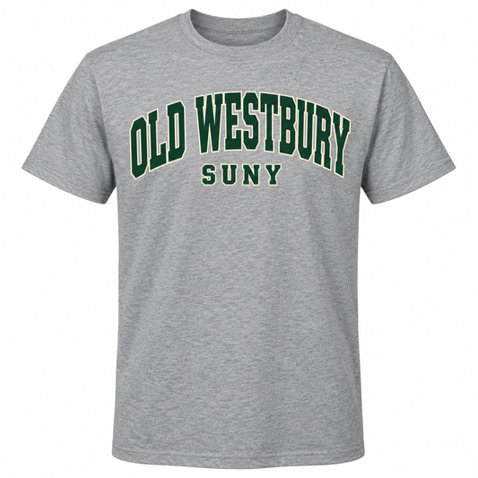 SUNY Old Westbury Collegiate Arch T-Shirt in heather gray
