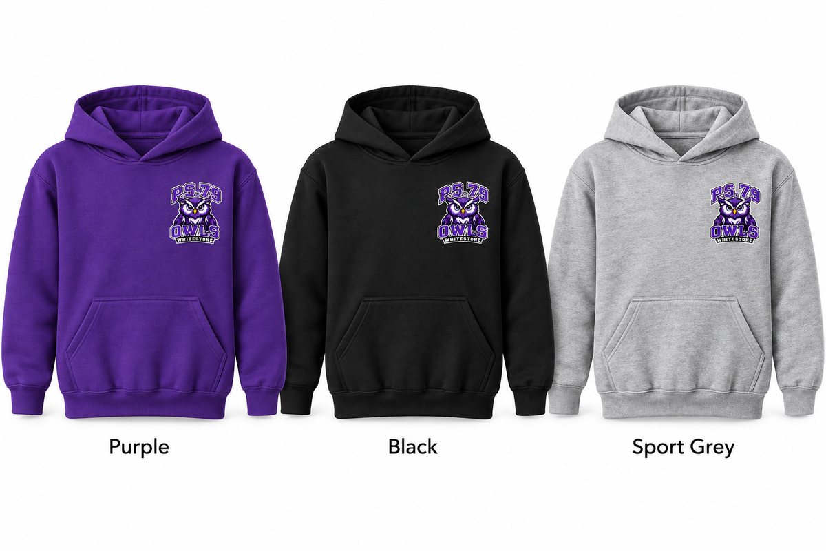 P.S. 79 Owls Youth Fleece Pullover Hoodie color options