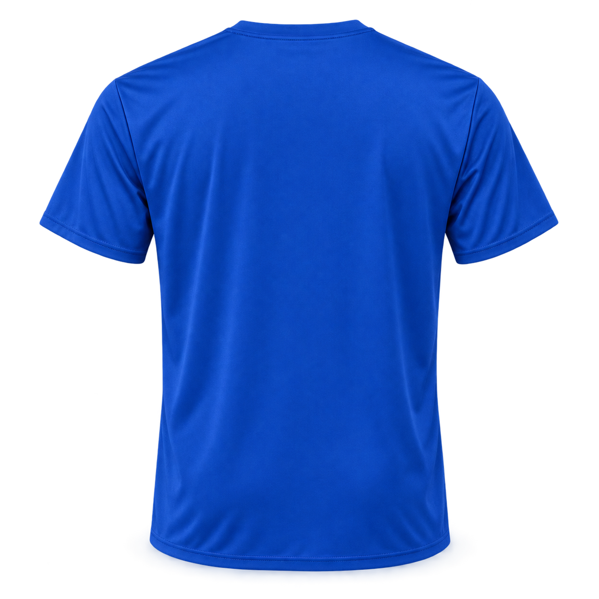 West Islip Volleyball Fierce Lion Performance Tee — True Royal, back view