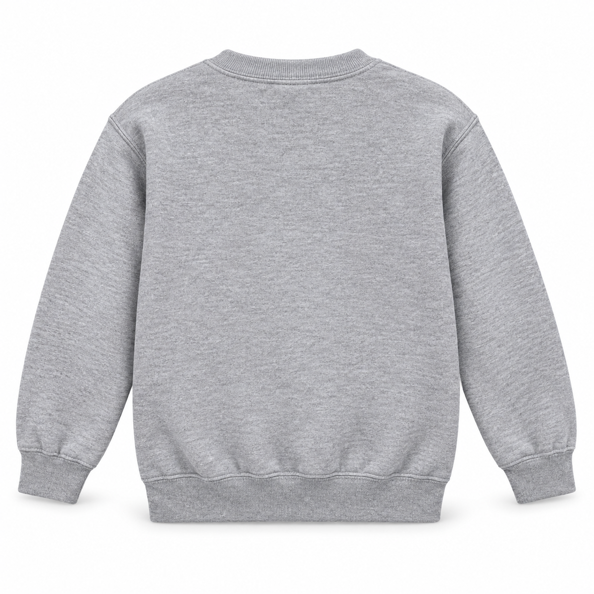 West Islip Volleyball Fierce Lion Youth Crewneck Sweatshirt — Sport Gray, back view