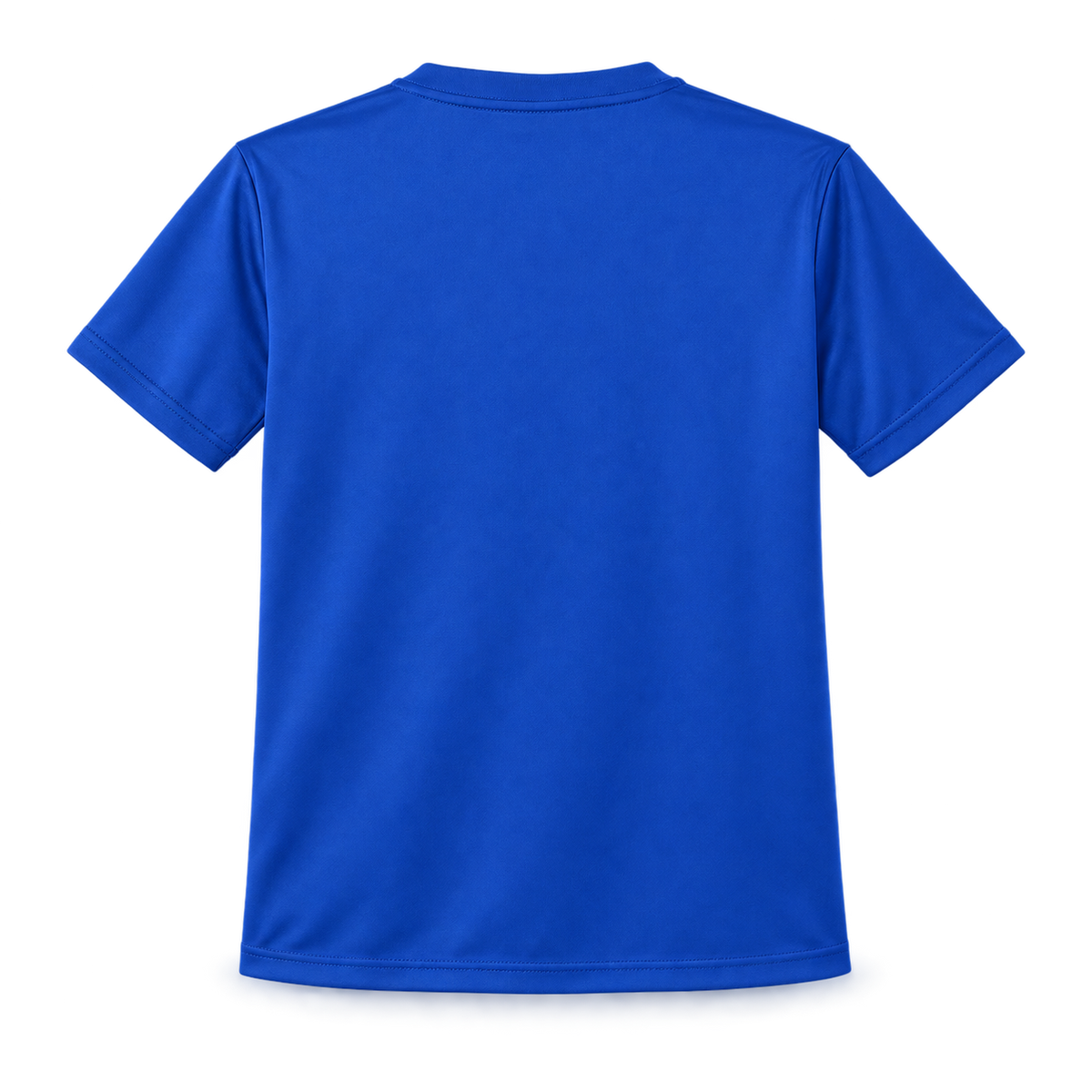 West Islip Volleyball Fierce Lion Youth Performance Tee — True Royal, back view