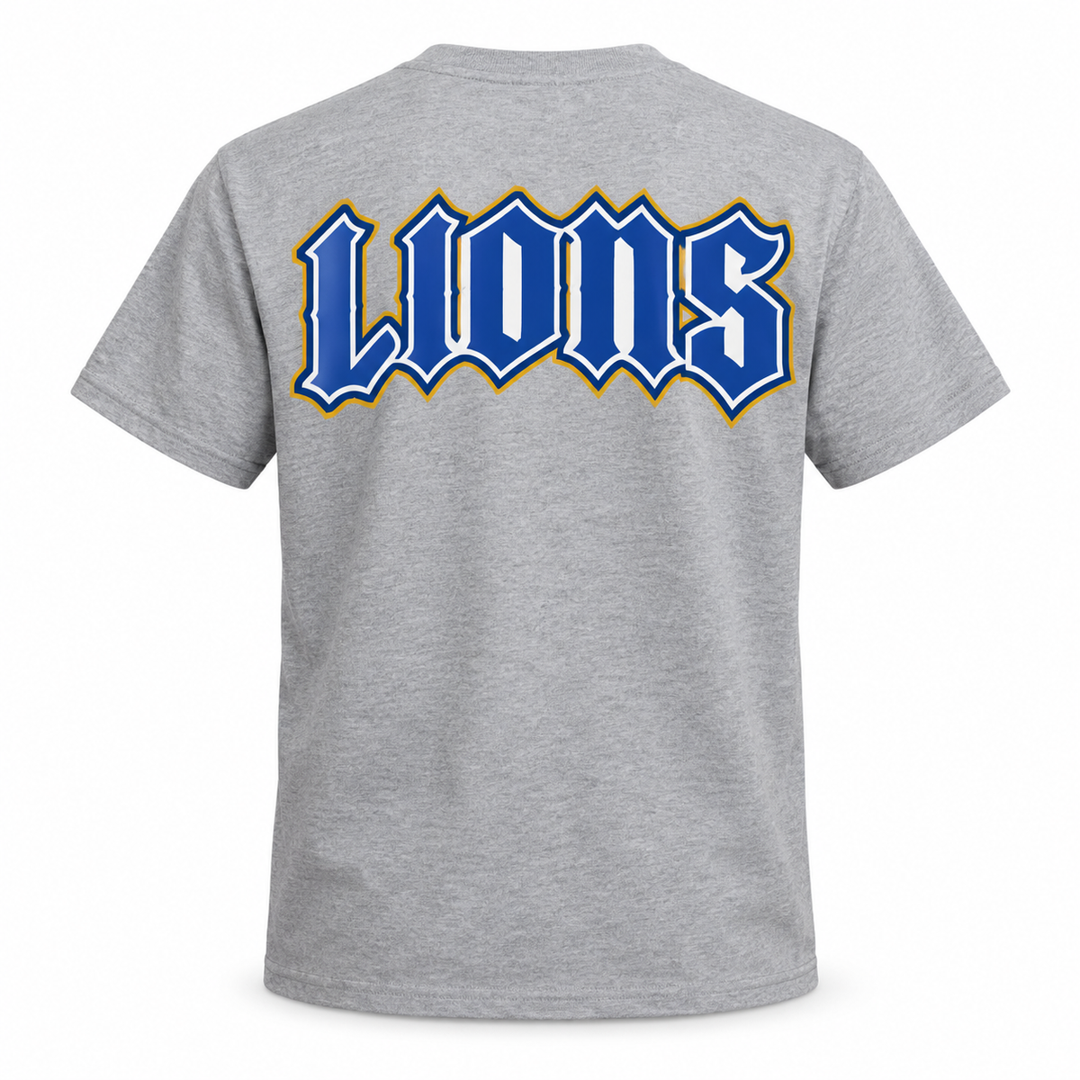 tee-heather-gray-royal-back